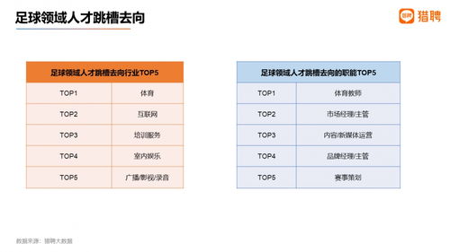 世界杯落幕,猎聘发布 2022足球领域就业数据洞察