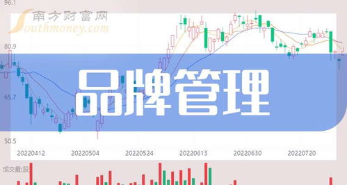 品牌管理题材的上市公司名单 9月9日